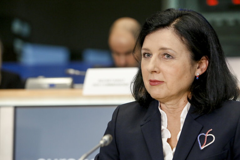 OPEN LETTER TO THE VERA JOUROVA VICE-PRESIDENT OF THE EUROPEAN COMMISSION